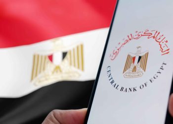 Egypt Finance Ministry Boosts Investment with New Systems