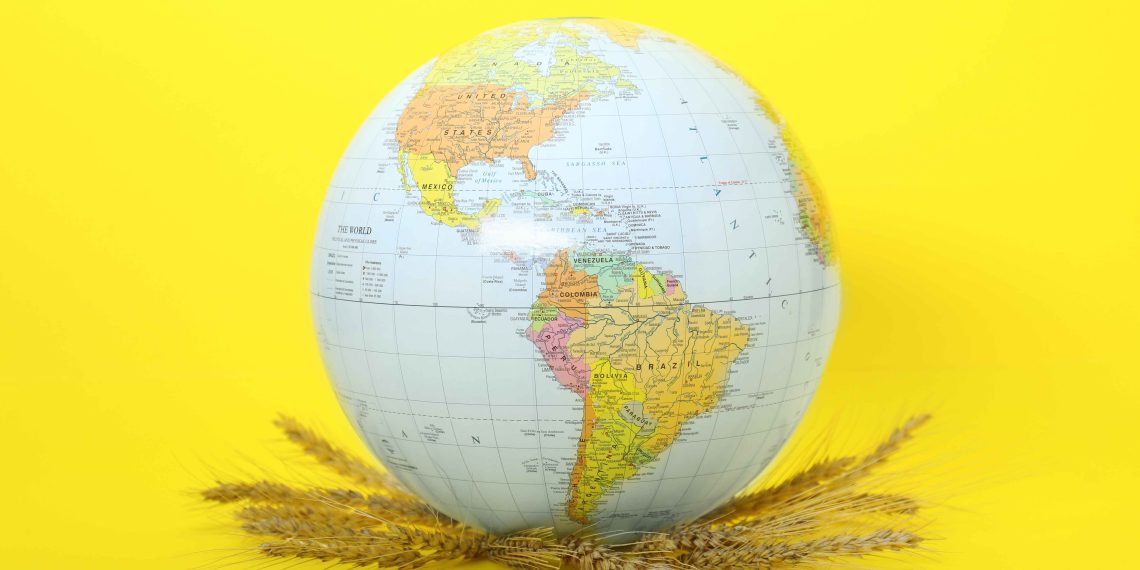 BRICS' Role in Strengthening Global Food Security and Agricultural Cooperation_