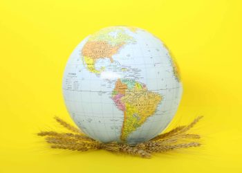 BRICS' Role in Strengthening Global Food Security and Agricultural Cooperation_