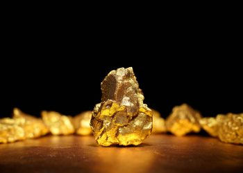 BRICS’ Potential Gold-Backed Currency (1)