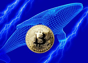 Bitcoin Whales Cash Out Over $5 Billion: Is the Rally Over?