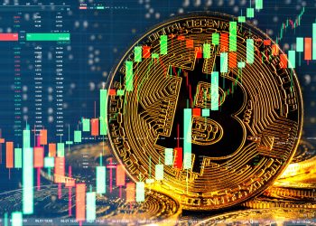 Michael Saylor to Present Bitcoin Investment Strategy to Microsoft's Board