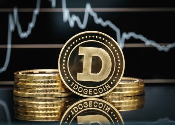 Retail Investors Favor Dogecoin Over Bitcoin, New Poll Reveals_